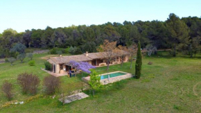 4 bedrooms villa with private pool enclosed garden and wifi at Camallera, Saus, Camallera i Llampaies:Camallera